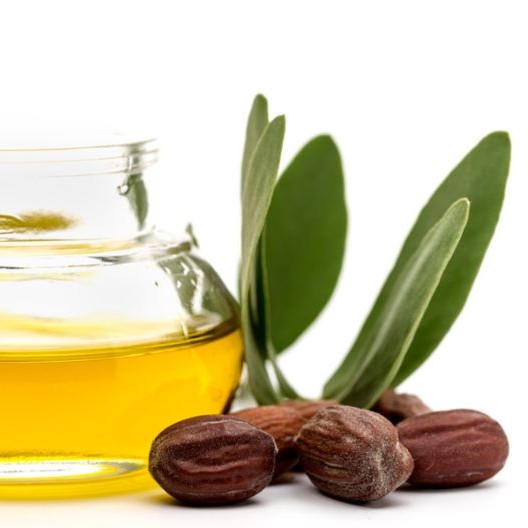 روغن جوجوبا چیست؟ کاربرد، فواید و نحوه مصرف آن