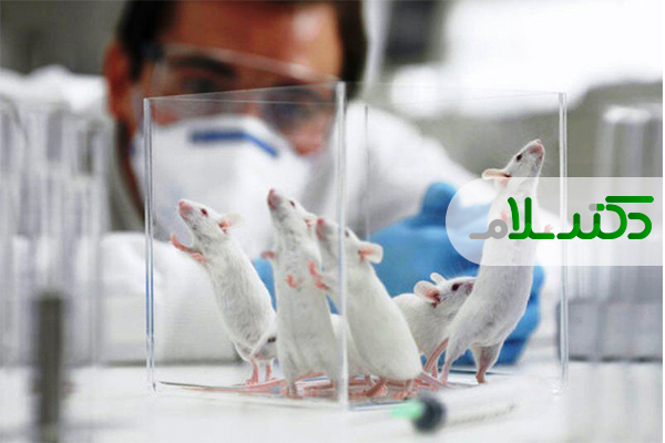 توضیحات دبیر کمیته علمی مبارزه با کرونا درباره تبدیل شدن بیماران کرونایی به "موش‌ آزمایشگاهی"