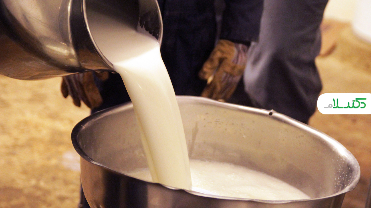 شیر شتر نوشیدنی حاوی مقدار زیادی پروتئین و ویتامین‌های گروه B، C، A و E