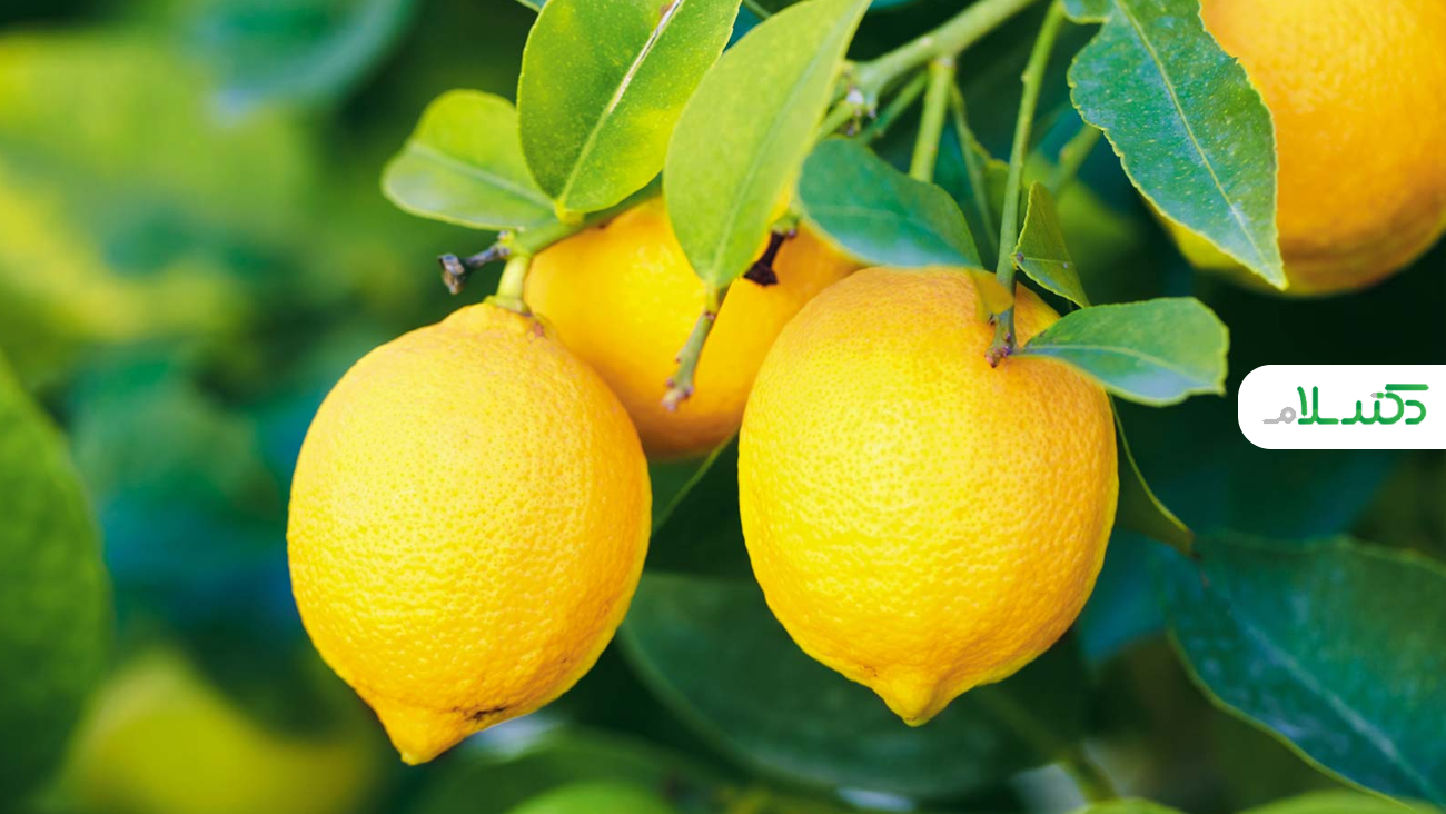نقش شگفت انگیز لیمو در سلامتی