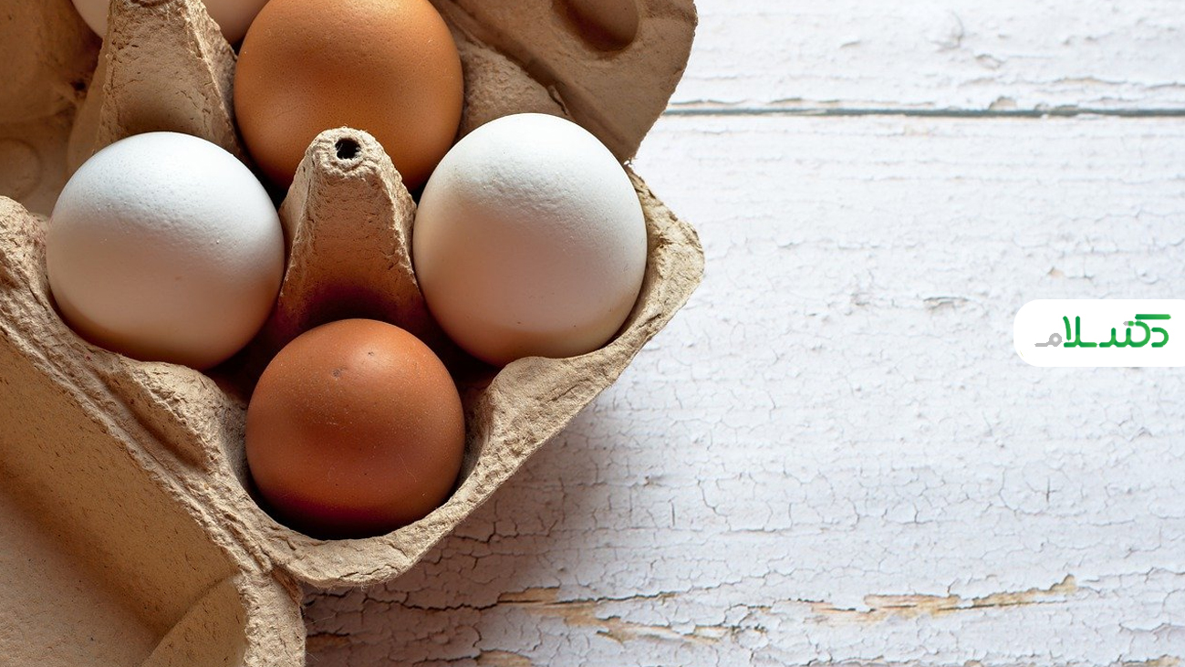 نکات مهم پیرامون مصرف تخم مرغ