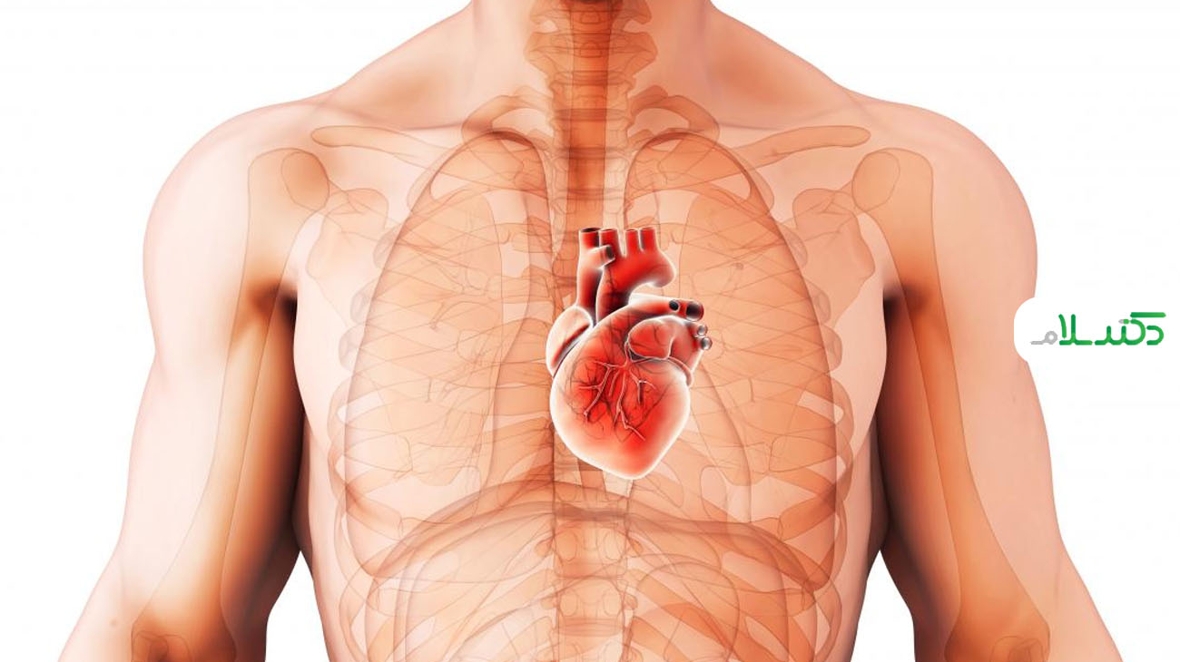 مهمترین عامل بیماری های قلبی و عروقی را بشناسید