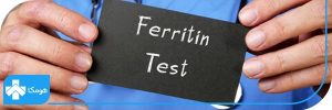 ferritin چیست