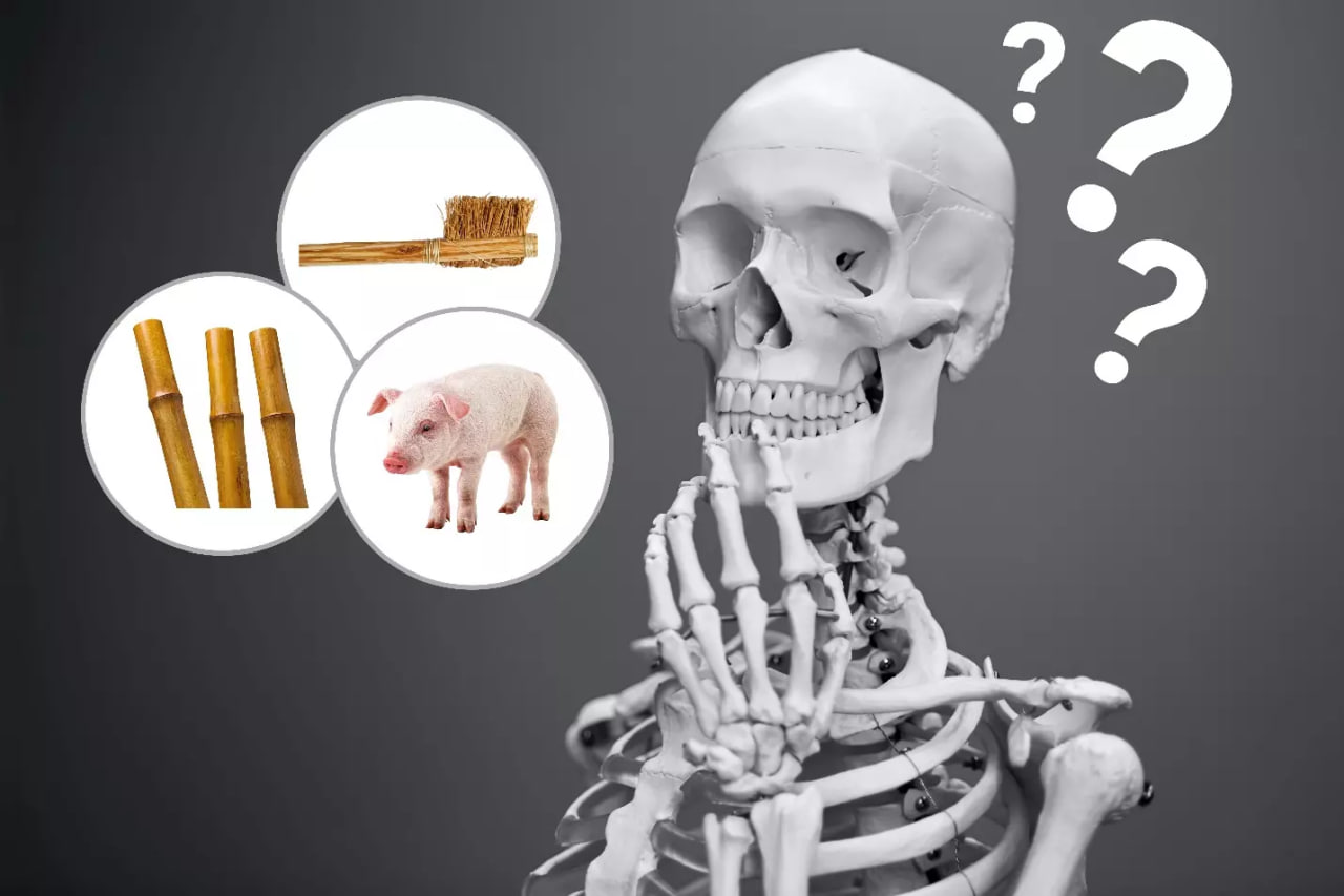 8 علت برای پاسخ اینکه چگونه دندانهای مردم باستان پوسیده نمیشد؟