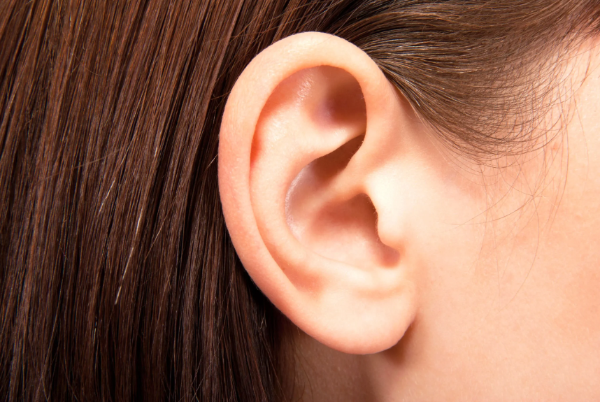 ۱۲ واقعیت عجیب و شگفت انگیز درباره گوش‌های شما